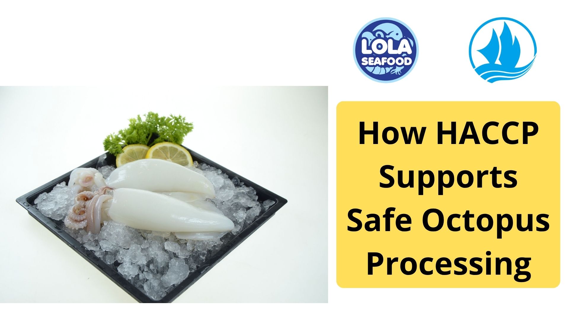  How HACCP Supports Safe Octopus Processing